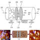 Imagen: Rongjia Tao et al.